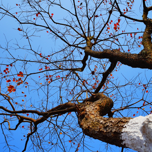 庆幸遇见，难过只是遇见