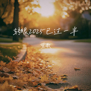 转眼2025已过半