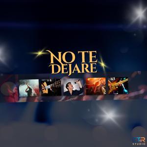 NO TE DEJARÉ