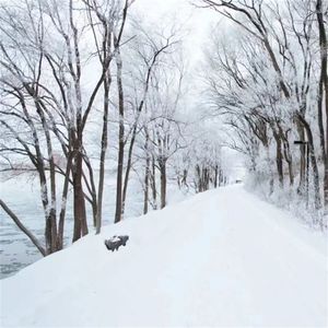 撒拉水红花令 (DJ版)