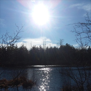 Elaborate (And Exaggerate)