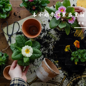 对镜翻转变装（BGM版）