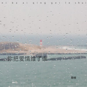 你把爱情给了谁（伴奏）