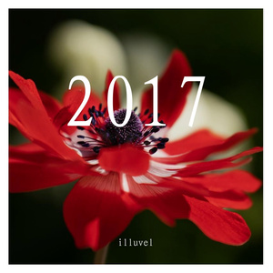 毒林檎とシンデレ