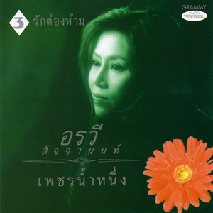 พะวงรัก