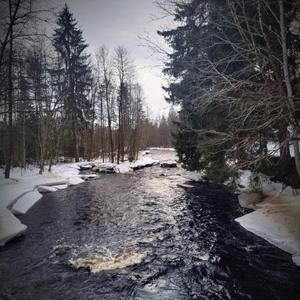 Längs Älven