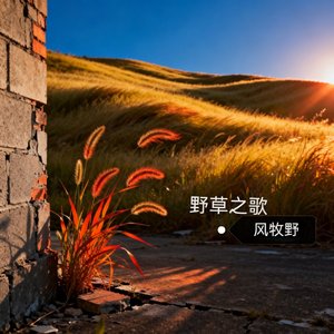 野草之歌423.wav