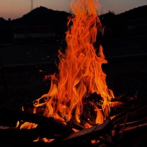 欢哀悲鸣曲
