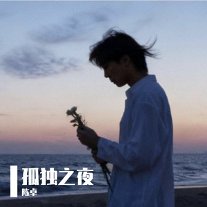 指向星空下的港湾