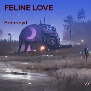 Feline Love (Acoustic)