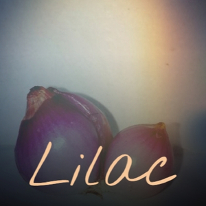 Between Awake and Sleep