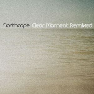 Clear Moment (Absorb Fish Remix)