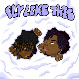 Fly Like This (feat. 14VVS)