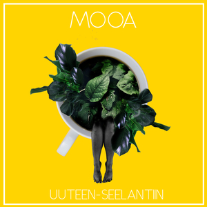 Uuteen-Seelantiin