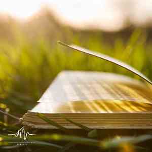 成长的路 (安眠曲)