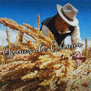 Grano de Quinua