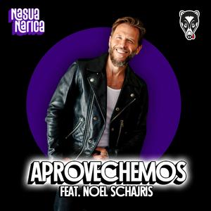 Aprovechemos (feat. Noel Schajris)