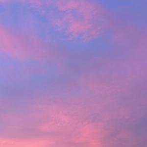 The Night Sky Of Summer’s End(여름끝의 밤하늘)