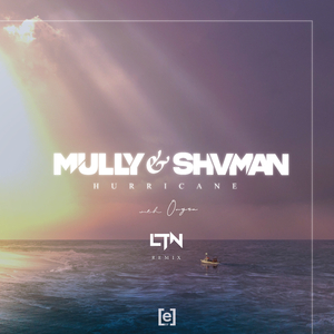 Hurricane (LTN Extended Remix)