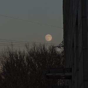 你是我心里最轻的风