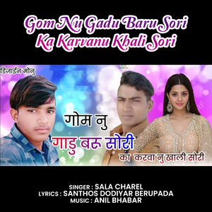 Gom Nu Gadu Baru Sori Ka Karvanu Khali Sori