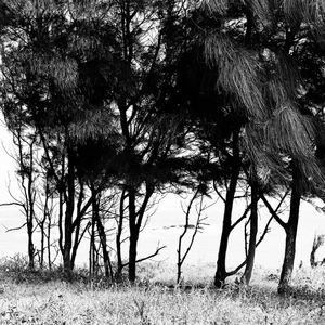 我用什么把你留住