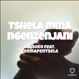 Tshela mina ngenzenjani