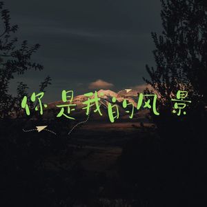 你是我的风景（热播DJ版）