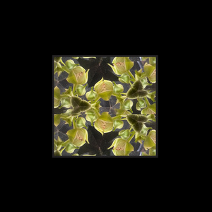 Melting Mountain I Know My Direction (Demo)