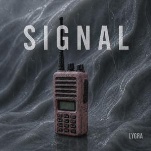 Signal