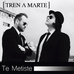 Te Metiste