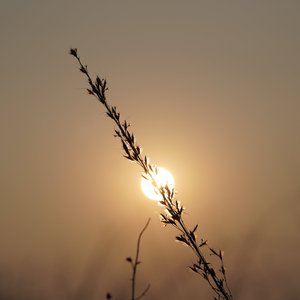 《借口只是不喜欢的理由》