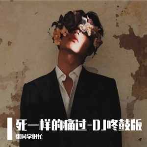死一样的痛过-DJ咚鼓版