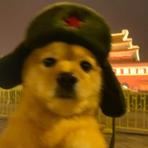 彩蛋在最后一关