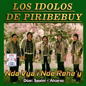 Nda Vy´ai Nderehe´y