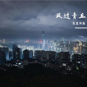 风信子读不懂鸢尾的泪