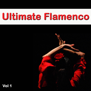 Belingonero Flamenco
