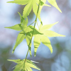 崇实黜浮的踏实