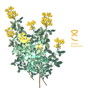 Magycops (Original Mix)