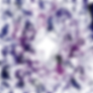 jakiesąlotydoamerykipołudniowejwwigilięopróczbrazylii