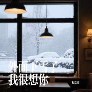 外面下雪了我很想你