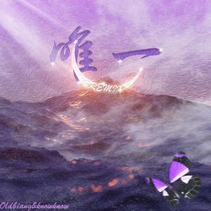 KnowKnow-唯一（Oldbiang remix）