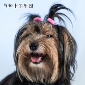 气球上的乐园 (狗狗助眠曲)