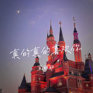 真的真的喜欢你