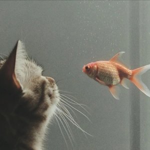 既非朋友也非恋人