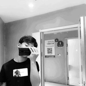 羞答答的玫瑰静悄悄的开