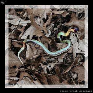 Bones (Live at SnakeBrook)