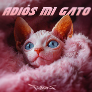 ¡Adiós! Mi gato (再见小猫）