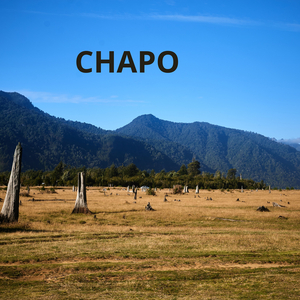 Chapo