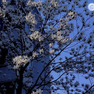 this is what sadness feel like